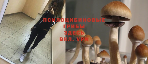 спиды Михайловск