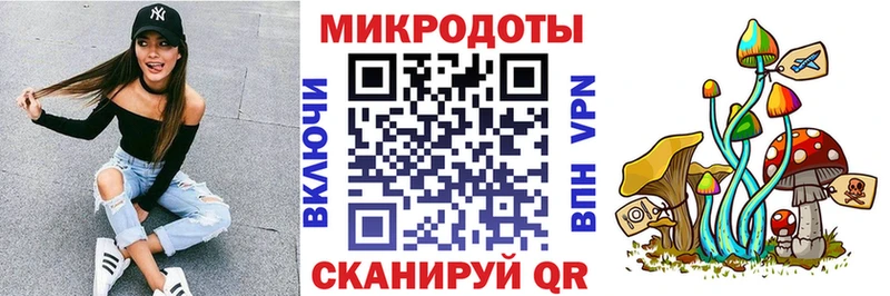 купить наркоту  Назрань  Псилоцибиновые грибы мицелий 